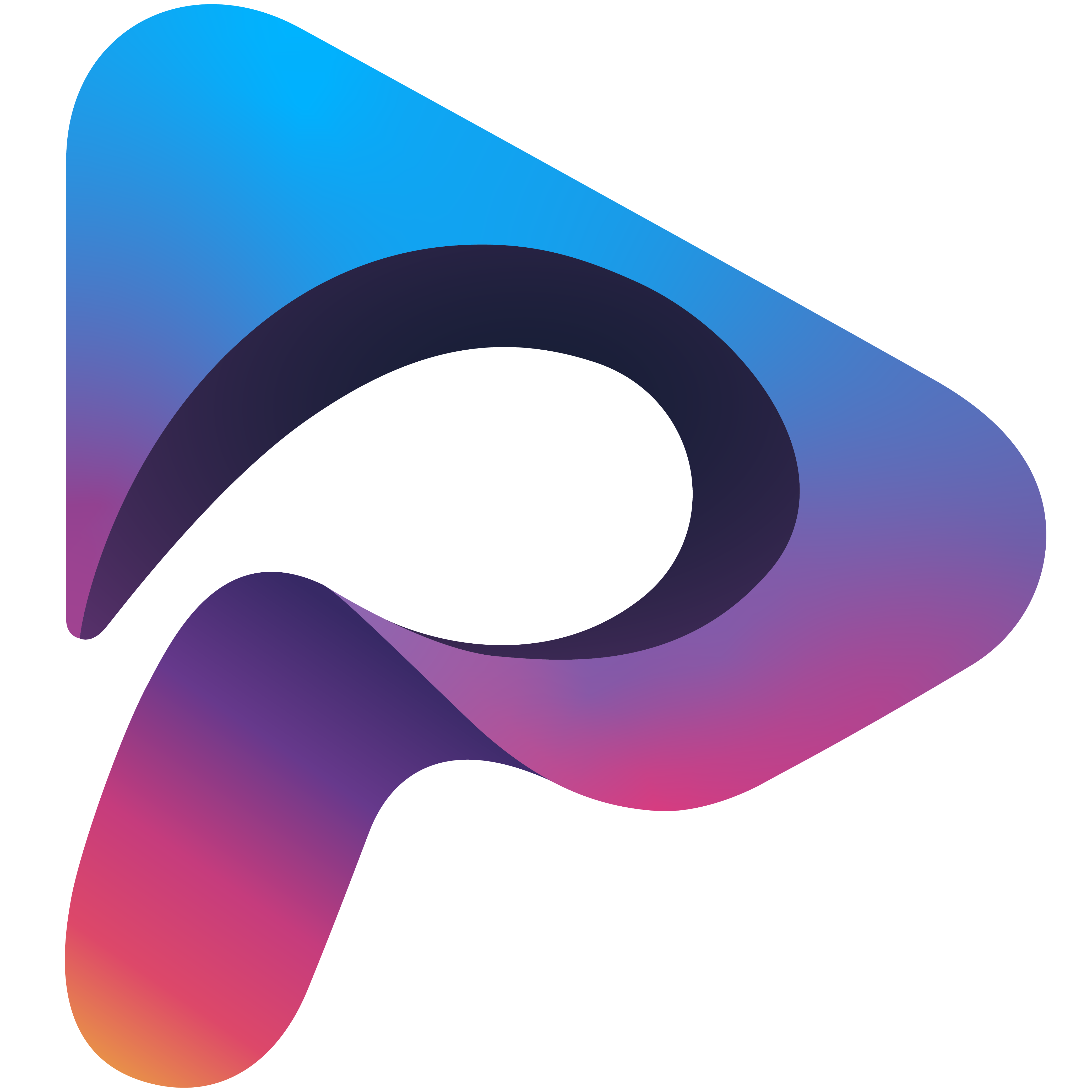Piludi – Media Player